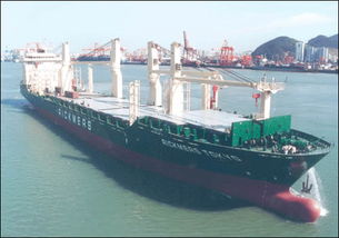 顺帆货运代理机电设备进口,上海商检报关